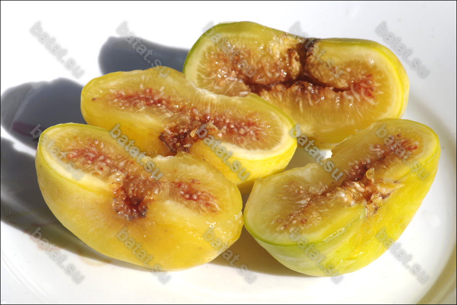 Узбекский Жёлтый, плоды в разрезе.