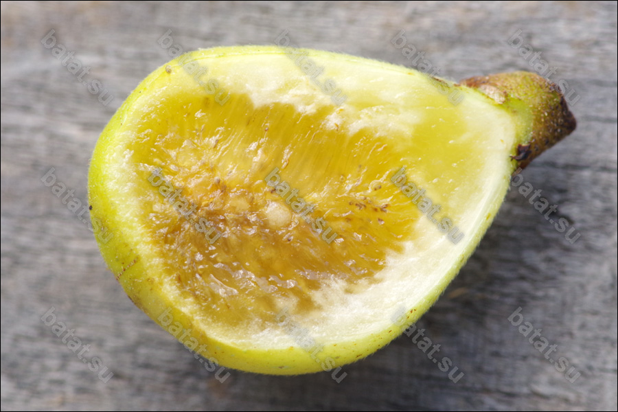 Cordelia, плод в разрезе.