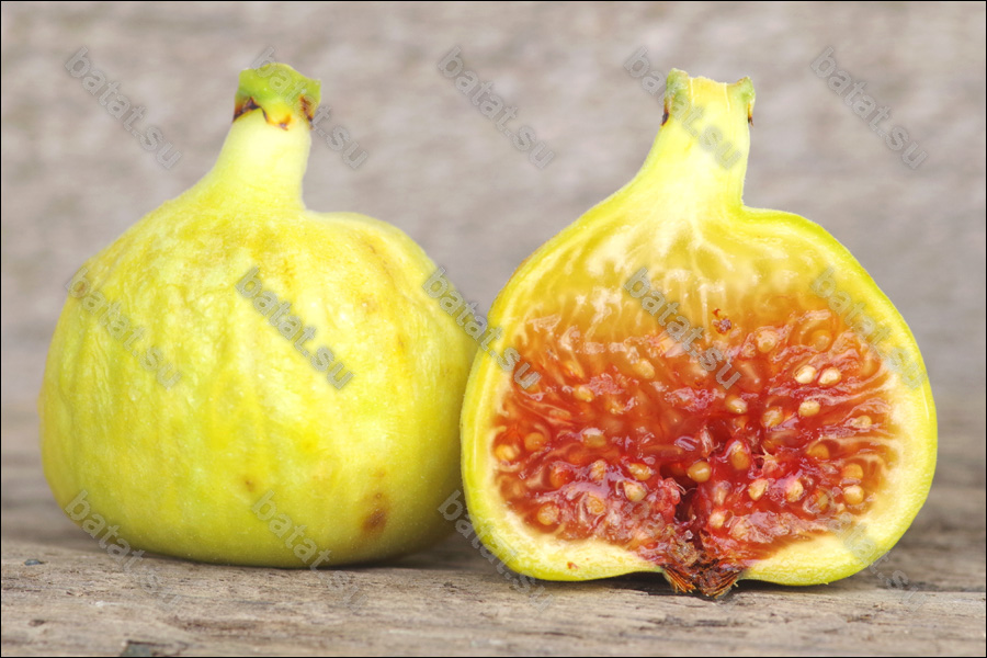 Vartika, плод в разрезе.